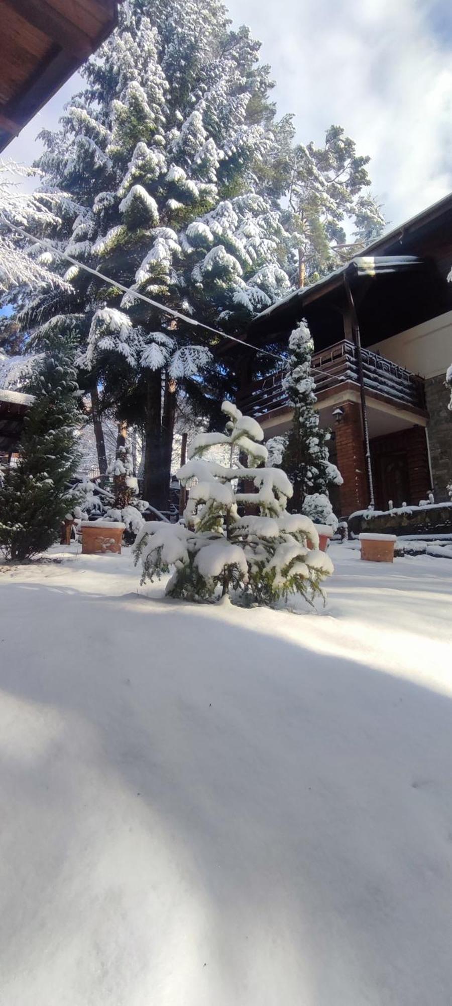 Harmony Sinaia