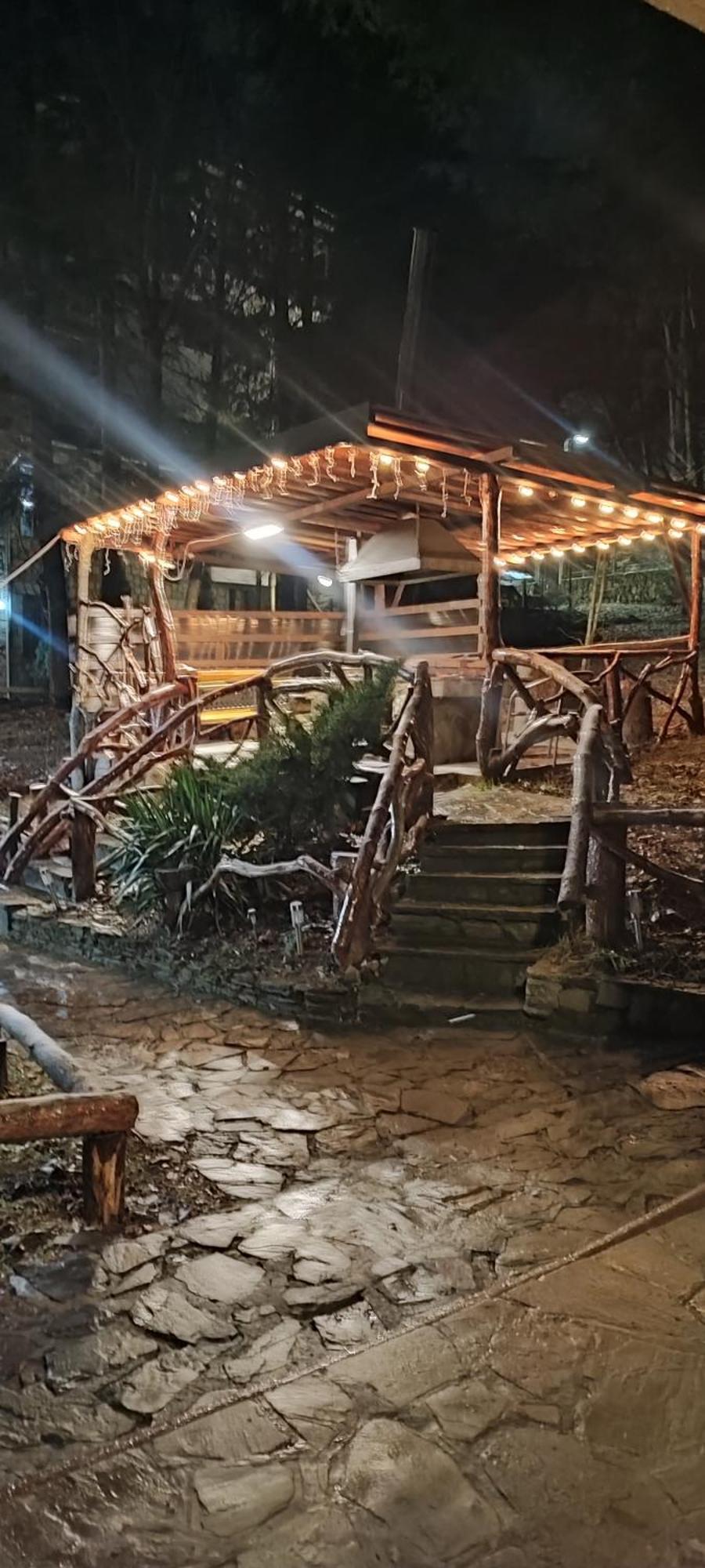 Harmony * Sinaia